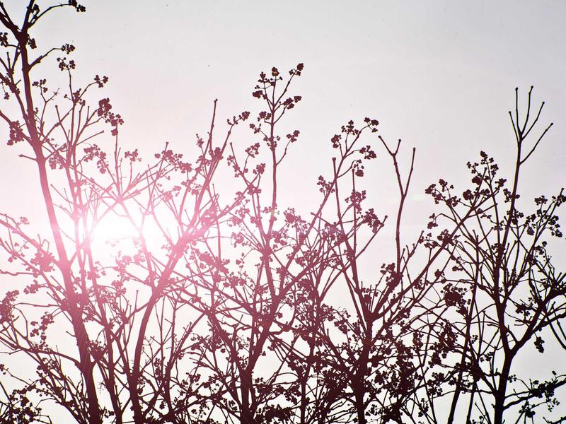 sudoku puzzle screenshot 4