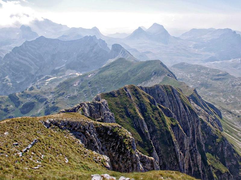 feedback screenshot 3