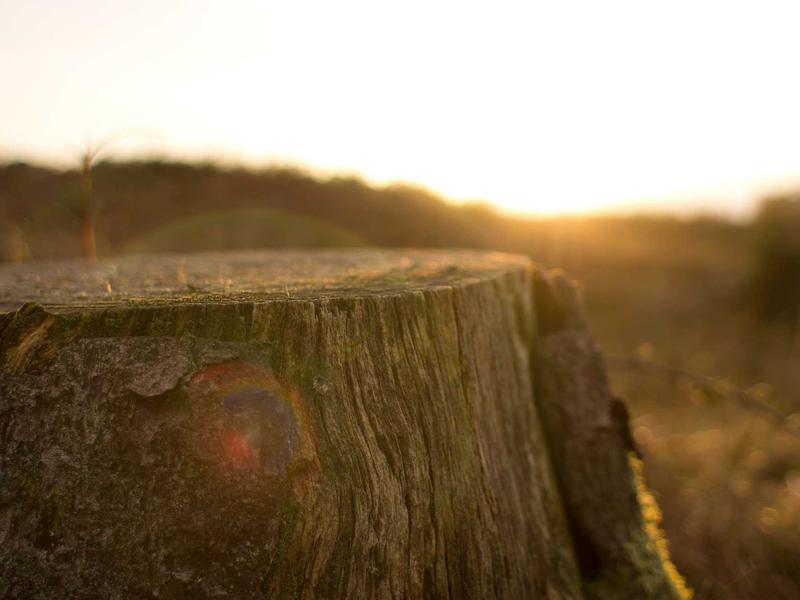 sudoku puzzle screenshot 2