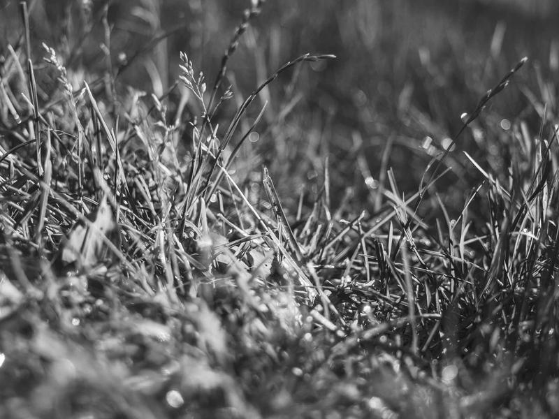 android screenshot 2